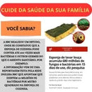 Escova com Dispenser Porta Detergente 2 Em 1